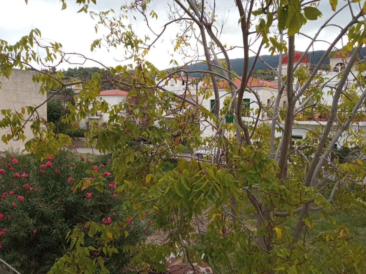 Bissias Guest House Galatás Zewnętrze zdjęcie